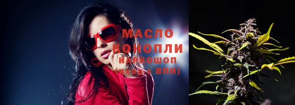 спиды Корсаков