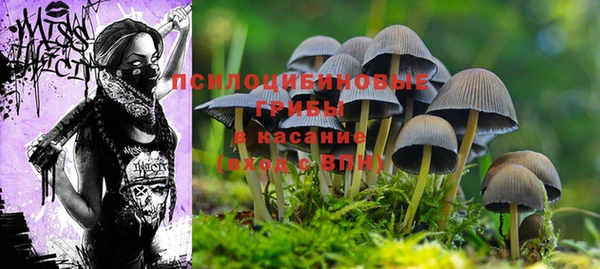 спиды Корсаков