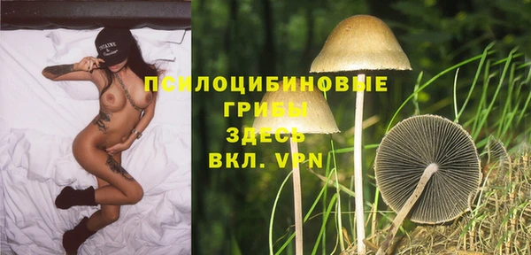 бутират Коряжма