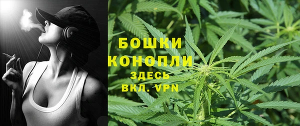 спиды Корсаков