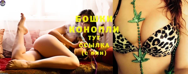 спиды Корсаков