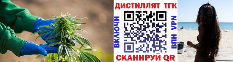 ТГК Wax  Купить  Дивногорск 