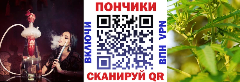 Бошки марихуана MAZAR Купить где Дивногорск